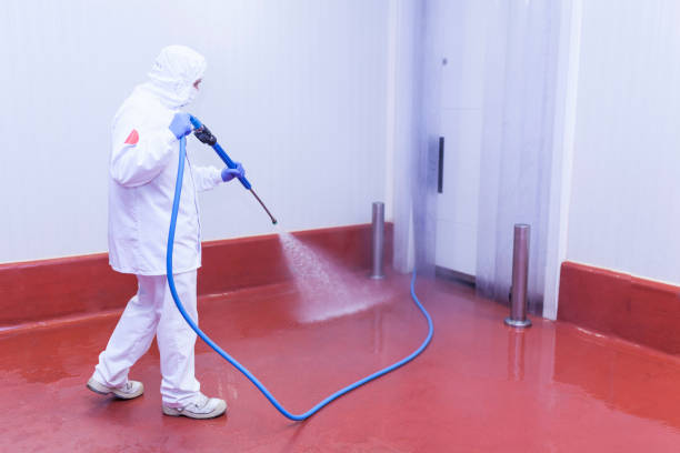 Best Boat and Dock Cleaning  in Havana, FL