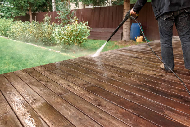 Animal Enclosure Cleaning in Havana, FL